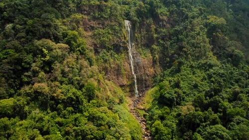 Aerial View of Waterfall Plunging From Cliff Into Dense Lush Tropical Forest