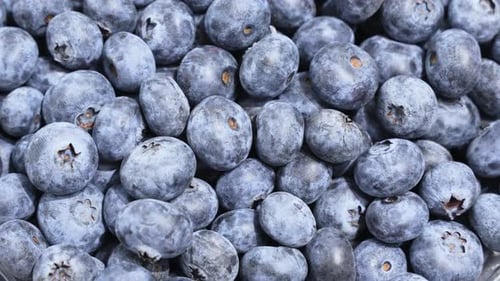 Spinning pile of ripe blueberries under even lighting.