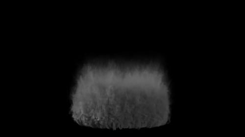 Dynamic White Smoke Burst Reveal