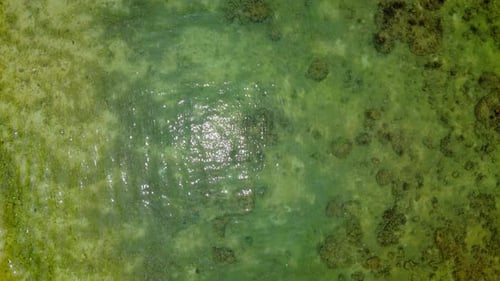 Aerial view from top of transparent sea water with ocean rock