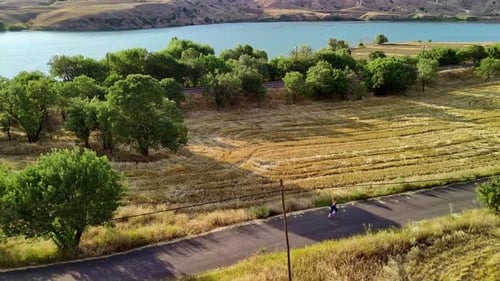 Fitness Run in Forest Area