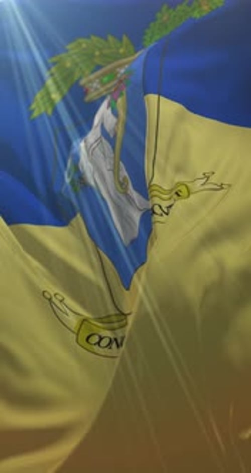 Realistic Waving Delaware State Flag Vertical Animation Loop