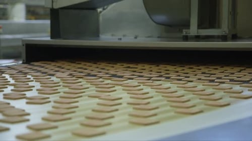 lots of square cookies on the conveyor belt