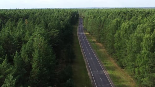 Aerial view of road through the green forest.