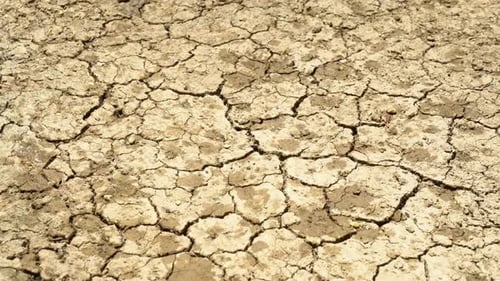 Cracked Ground Illustrates Drought Conditions