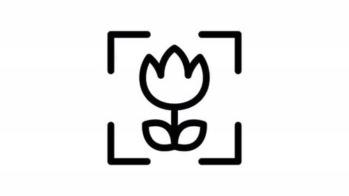 macro line icon animation