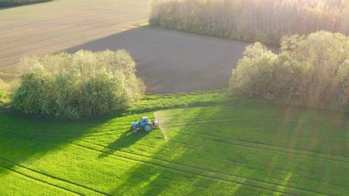 Aerial view during sunny day of tractor with mist sprayer drive on green field