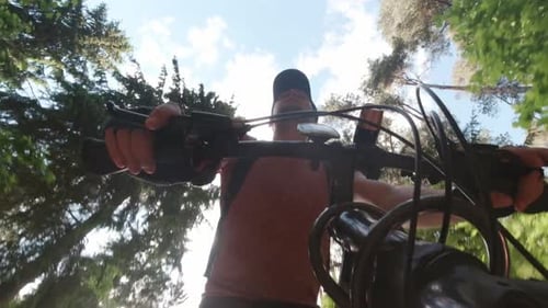Mountain Biking In Forest Trail
