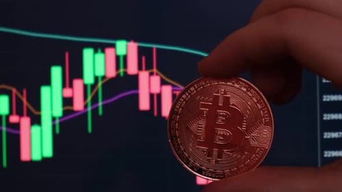 Female Hand Holding Bitcoin Gold Coin on Background of Stock Market Chart Bitcoin Mining Trading