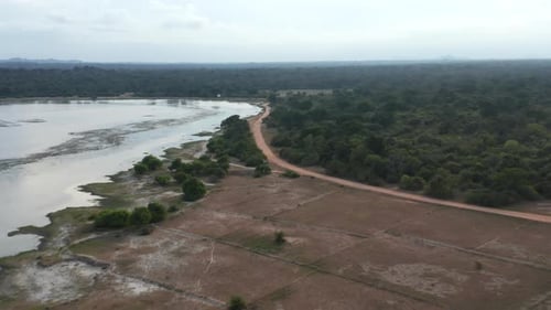 Aerial: Drone Sri Lanka kumana National park