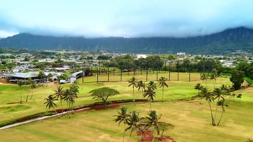 Footage over the green golf course crossed by the narrow river and some palm trees growing on.