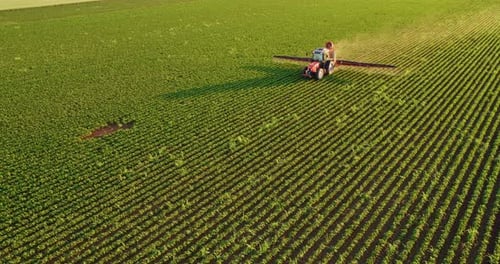 Tractor Spreads Fertilizer on Lush Green Crop Field