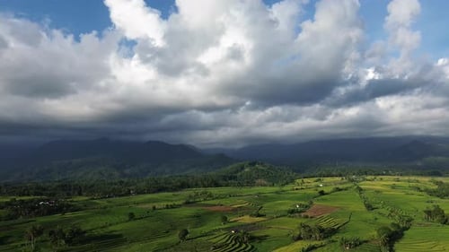 Beautiful morning view indonesia Panorama Landscape paddy fields with beauty color and sky natural