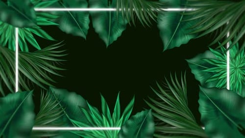 Abstrakter tropischer Hintergrund | Neon