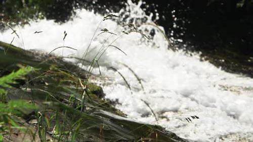 Rapid river stream rushing over rocks in the forest during sunny summer day. Whitewater. Profile loo