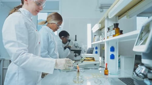 Scientists Conducting Research in Bright Modern Laboratory