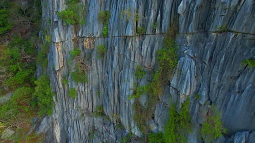 Aerial View of Jagged Rock Face with Lush Vegetation
