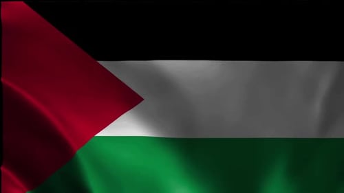 Palestine Flag Waving Realistic Loop