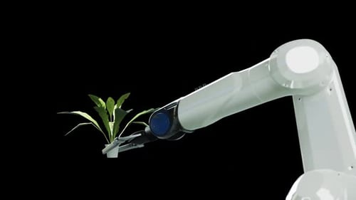Robotic Arm Holding a Green Plant