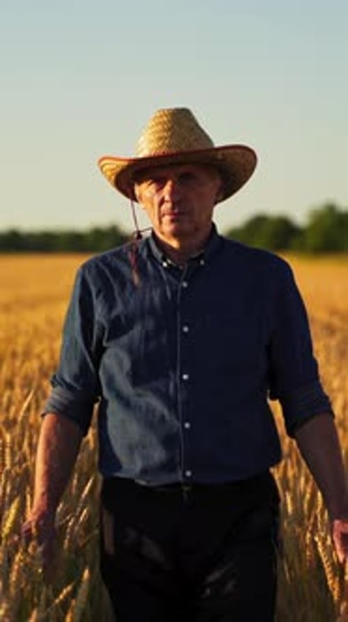Farmer in agricultural land.