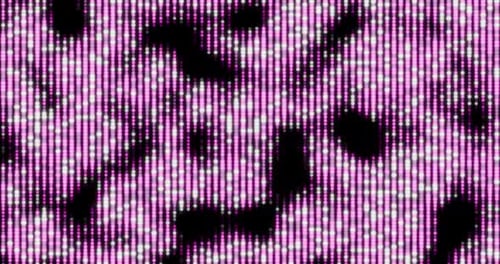 Abstract Pink and White Glowing Vertical Lines Flowing Background