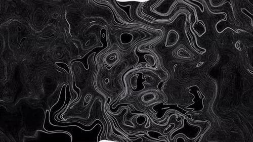 Abstract Fluid Contour Lines Animated Background Loop