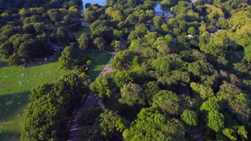 September 2021 - 4K aerial of Manhattan from Central Park, NYC, USA