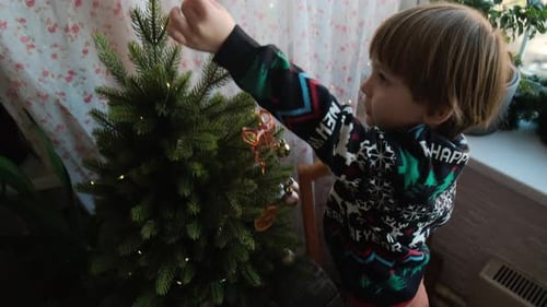 Child Decorates Christmas Tree with Dried Fruit