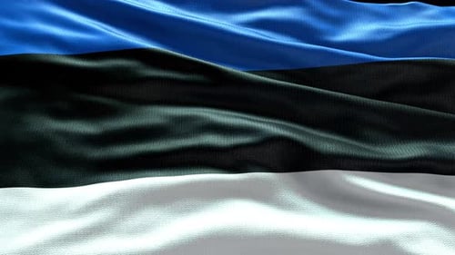 Estonia Flag Waving Loop with Realistic Fabric Texture