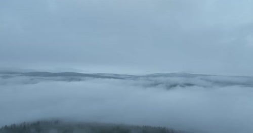 Misty Forest Aerial View, Nature Landscape