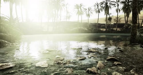 Serene Oasis at Sunrise Amidst Desert Landscape with Palm Trees and Calm Water