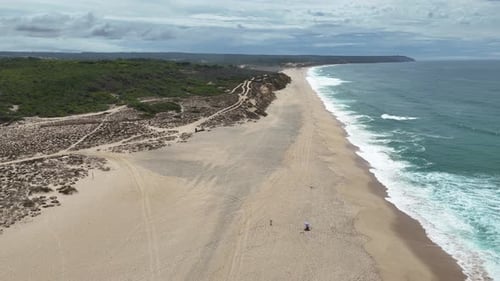 Aerial View of a Beautiful Serene Beach Showing Gentle Waves and Lush Greenery Nearby