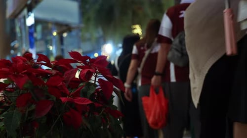 Толпы людей, занимающихся своими делами на улице, пешеходы и туристы, идущие пешком