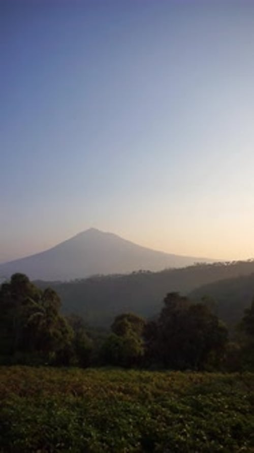 mountains with tall green trees is very beautiful with a clear sky in the morning at sunrise