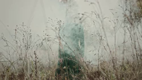 Model posing in green dress with smoke in a field
