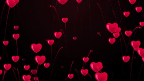 Romantic Red Hearts Particle Background Loop