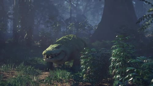 Crocodile se déplaçant dans une forêt luxuriante dans la lumière matinale
