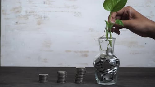 Pflanze wächst auf einem Münzstapel aus Glas