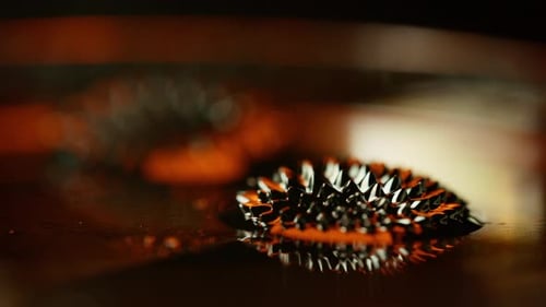 Ferrofluid Rising Up