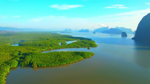 Drones are flying over mangroves at the estuary