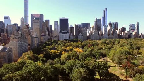 Central Park Skyline View on a Sunny Day Showcasing Lush Greenery and Skyscrapers