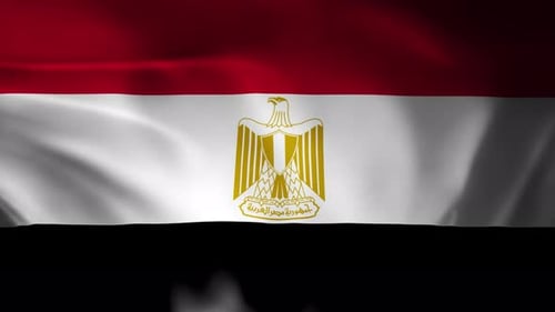 Waving Flag of Egypt Seamless Loop Background