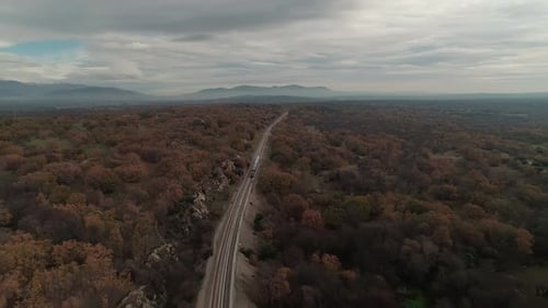 Aerial View of Train Journey Through Autumnal Forest