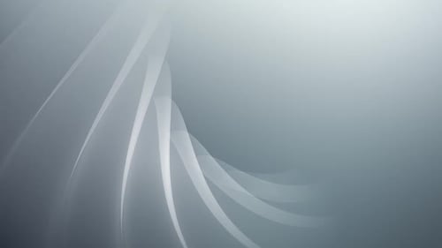 Abstract Background with Elegant White Curves and Gray Gradient