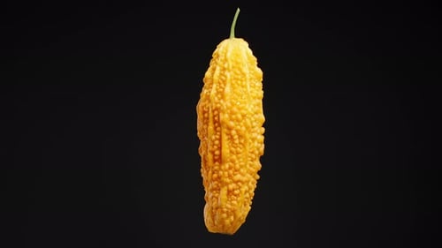 Isolate Close-up of a Bright Orange Bitter Melon with Bumpy Skin, Rotating against a Black