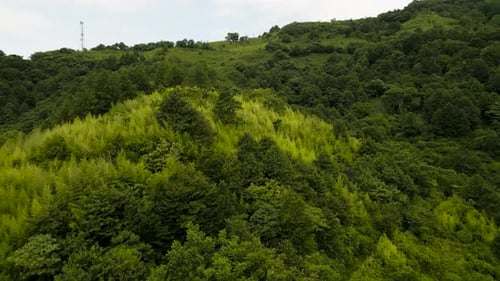 very beautiful green mountain