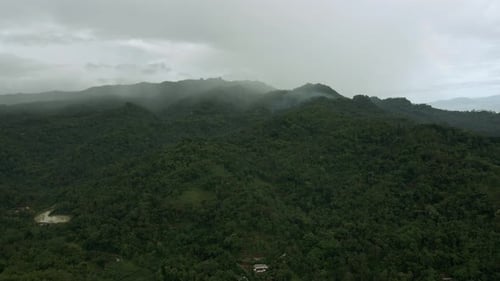 Aerial view of endless rainforest on the hills in foggy morning. Indonesia tropical forest.