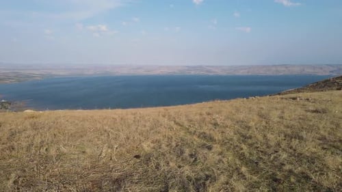 Vue panoramique aérienne du bétail domestique paissant sur le mont Arbel, Drone survolant la montagne