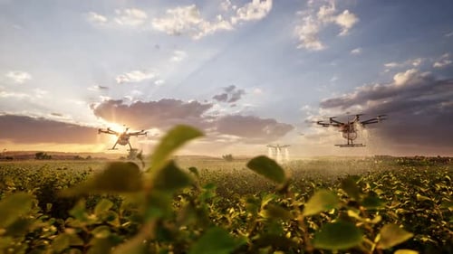 Agricultural Drones Spraying Pesticides Over A Field At Sunset
