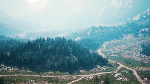 Winding Road in the Mountains with Pine Forest